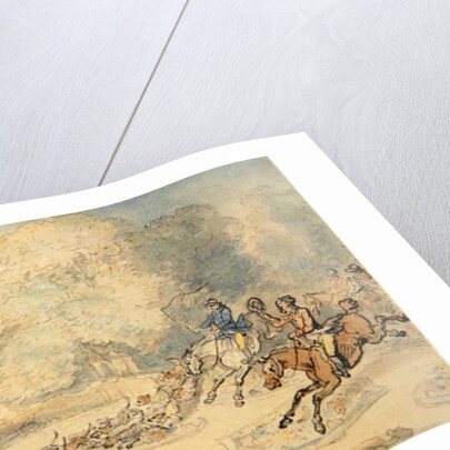 The Enraged Botanist by Thomas Rowlandson