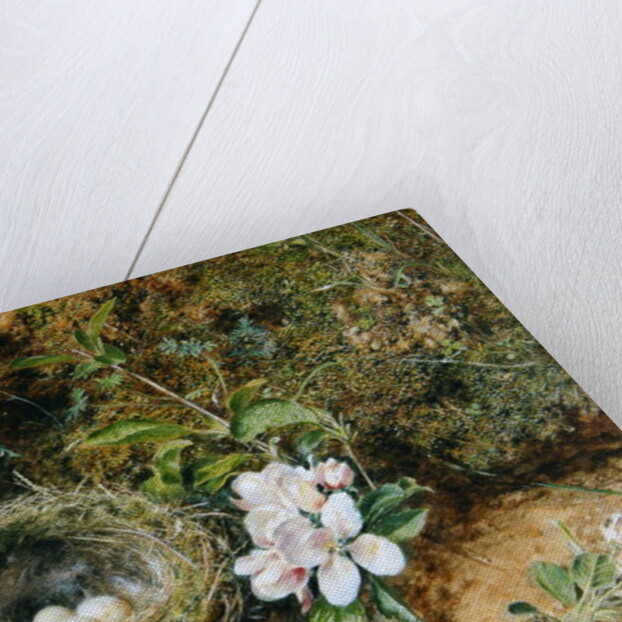 Bird's Nest with Sprays of Apple Blossoms, c.1845-50 by William Henry Hunt