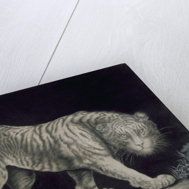 A Prowling Tiger by Elizabeth Pringle