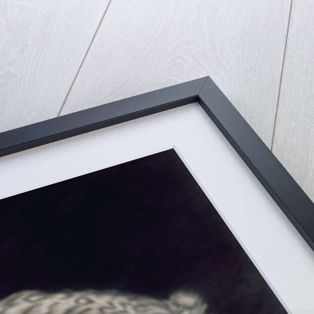 A Prowling Tiger by Elizabeth Pringle