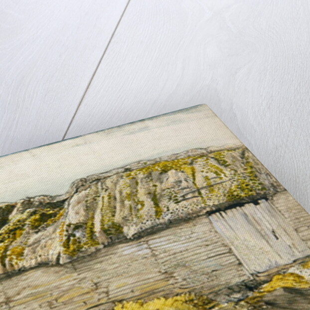 A Barn with a Mossy Roof, Shoreham by Samuel Palmer