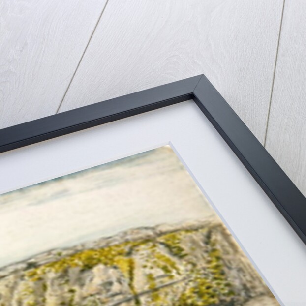 A Barn with a Mossy Roof, Shoreham by Samuel Palmer