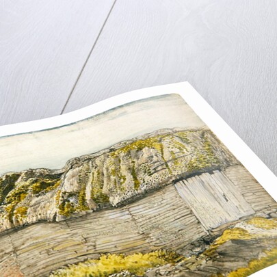 A Barn with a Mossy Roof, Shoreham by Samuel Palmer