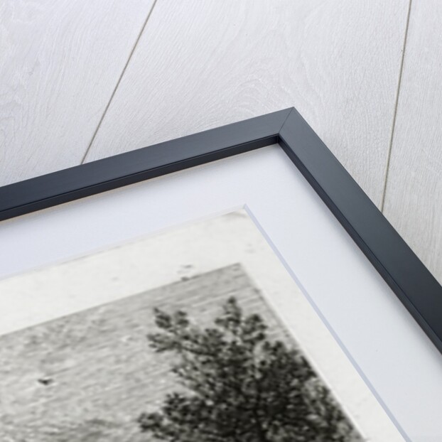 The Skylark by Samuel Palmer