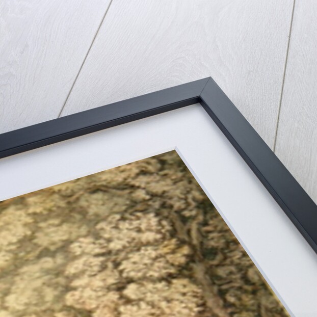 A college green with a group of damsels and young gentlemen in the foreground, c.1810-15 by Thomas Rowlandson