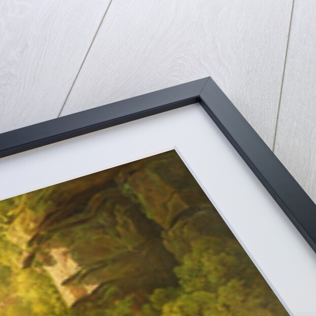 The Mountain Torrent, c.1820-30 by Francis Danby