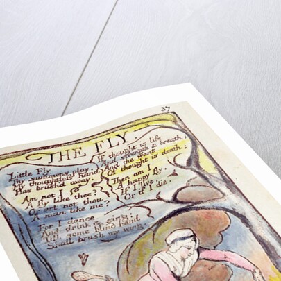 The Fly by William Blake