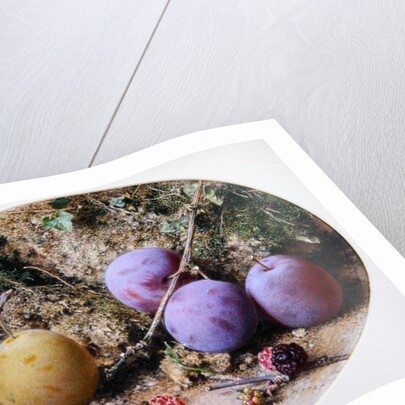 Plums and Mulberries, c.1860 by William Henry Hunt