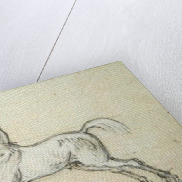 Flying Childers galloping to left: bridled but not saddled by James Seymour