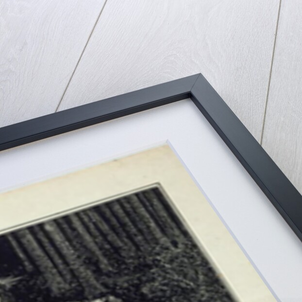 A large Christmas Card, 1895 by Aubrey Beardsley