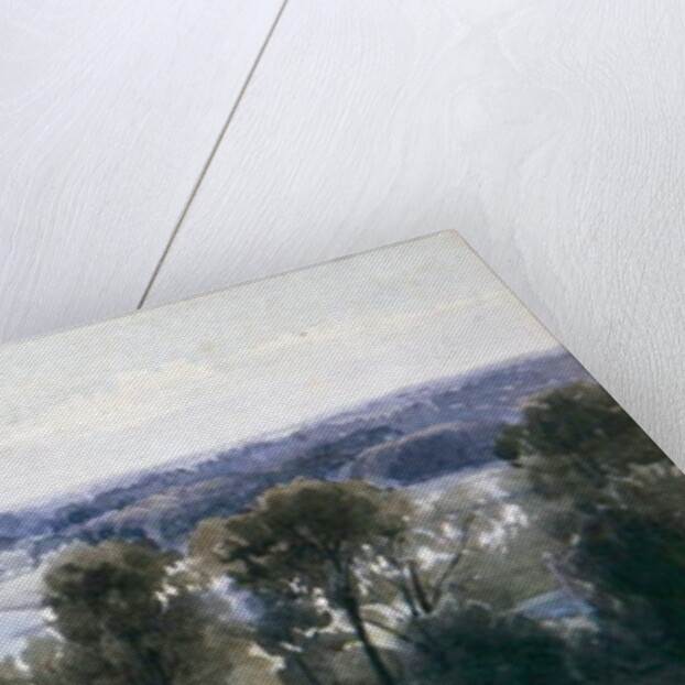 Richmond Hill, 1830 by Anthony Vandyke Copley Fielding