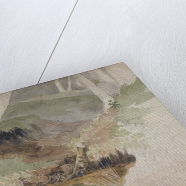 Forest Pool by Robert Hills