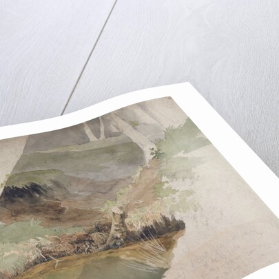 Forest Pool by Robert Hills