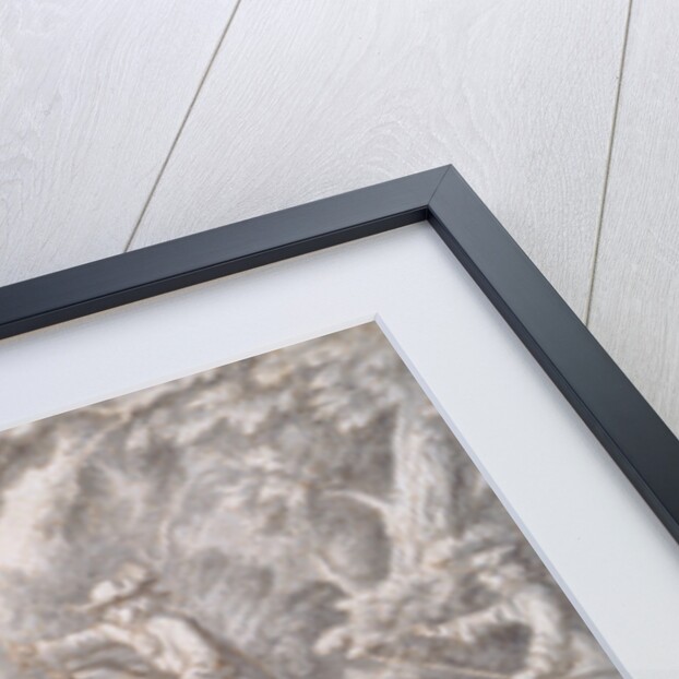 Hare Hunting by Francis Barlow