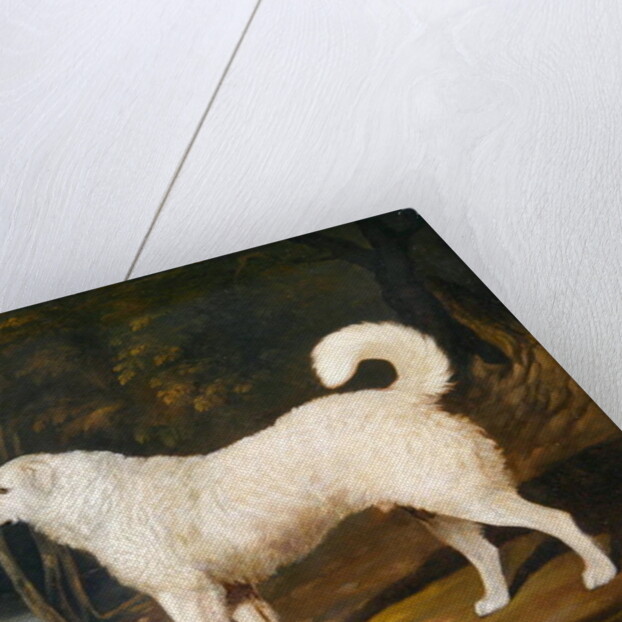 Portrait of a Dog, Ross, 1836 by David of York Dalby