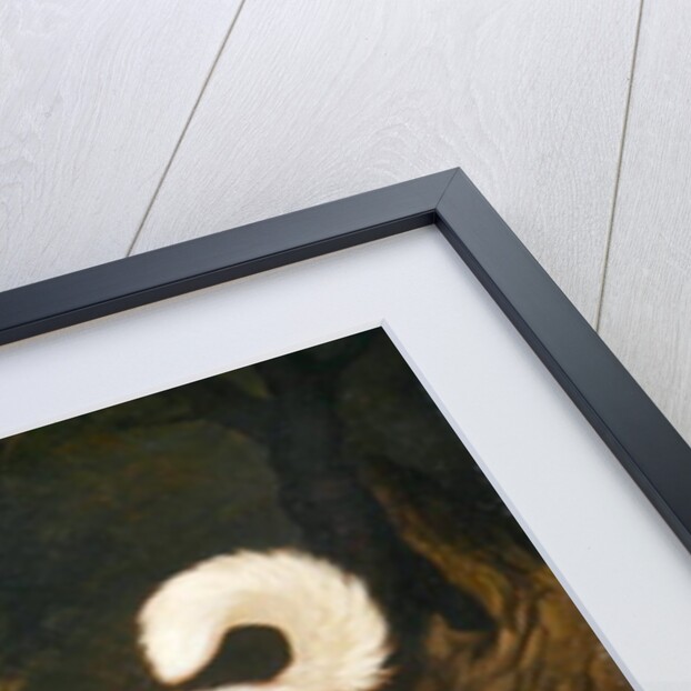 Portrait of a Dog, Ross, 1836 by David of York Dalby