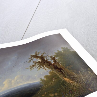 Shepherd Boy on a Hillside by William (1789-1862) Turner