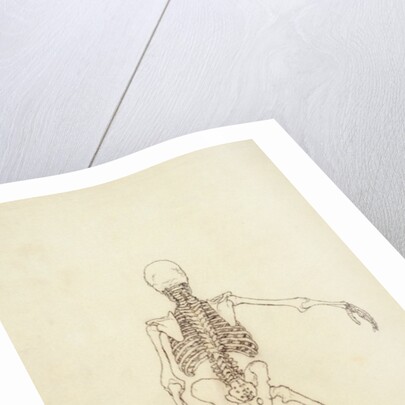 Study of the Human Figure, Posterior View by George Stubbs