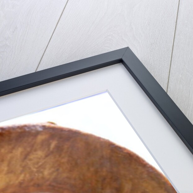 William Shuttlewood, 1788 by Samuel de Wilde