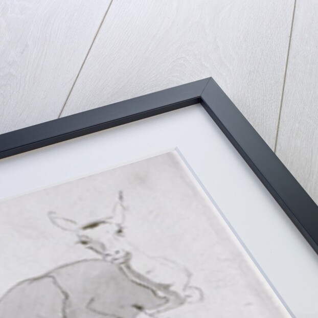 Studies of young Pallah Deer Resting, c.1802 by Samuel Daniell