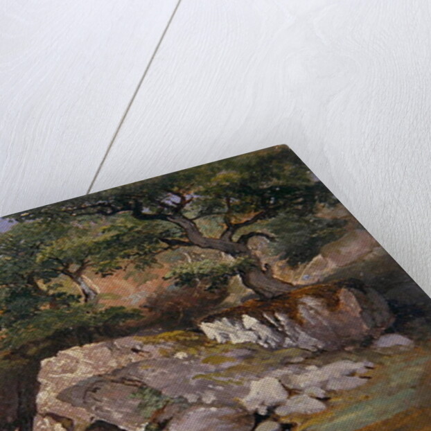 A View of the Valley of Rocks near Mittlach by James Arthur O'Connor