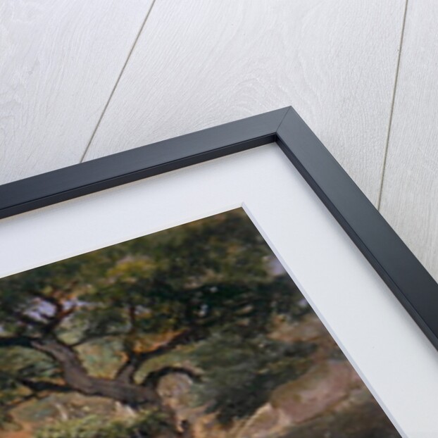 A View of the Valley of Rocks near Mittlach by James Arthur O'Connor