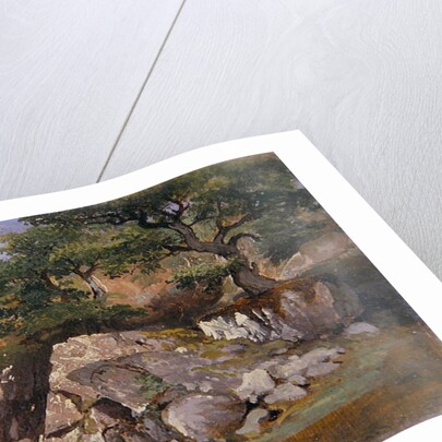 A View of the Valley of Rocks near Mittlach by James Arthur O'Connor