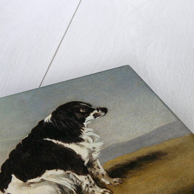 The Duchess of York's Spaniel, 1804 by Henry Bernard Chalon