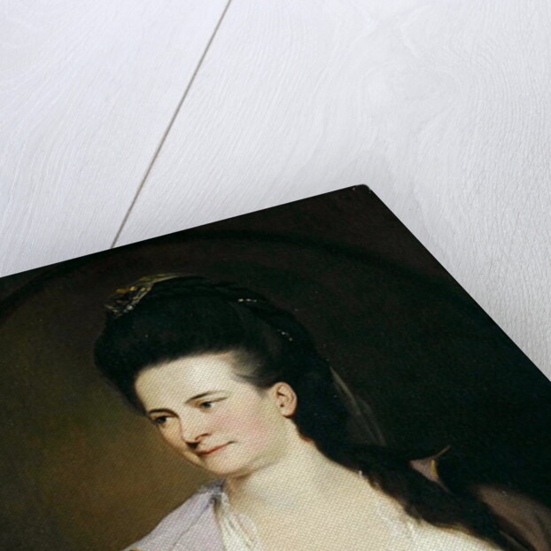 An Unknown Woman, c.1770 by John Hamilton Mortimer