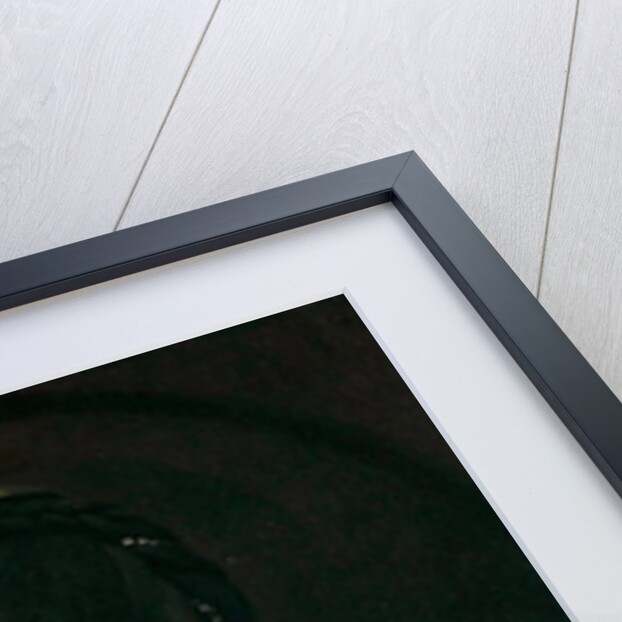 An Unknown Woman, c.1770 by John Hamilton Mortimer