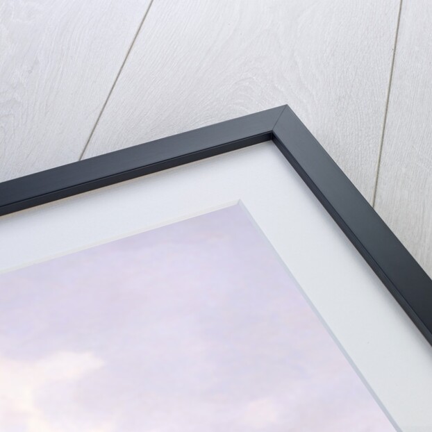 Lord Westminster's Cardinal Puff, with Sam Darling Up, Winning the Tradesman's Plate, Chester, c.1839 by William Tasker