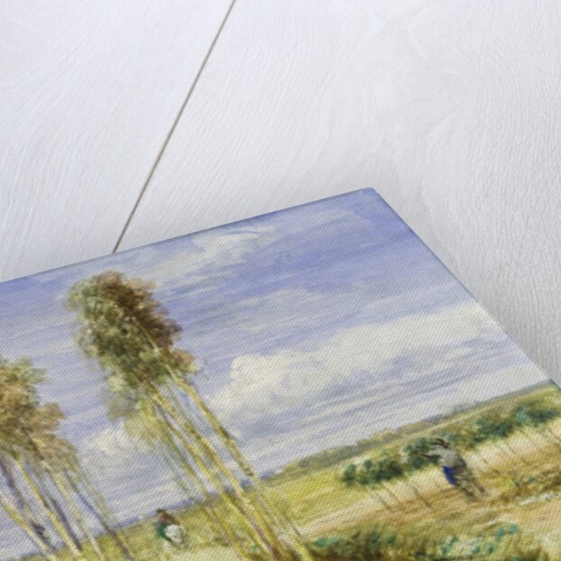 The Poplar Avenue by David Cox