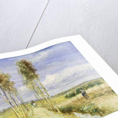 The Poplar Avenue by David Cox