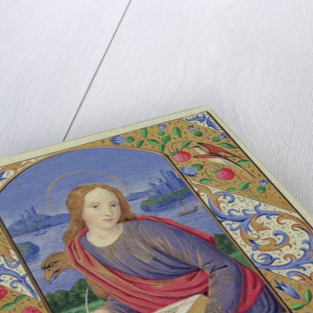 Portrait of St. John by Henry Noel Humphreys