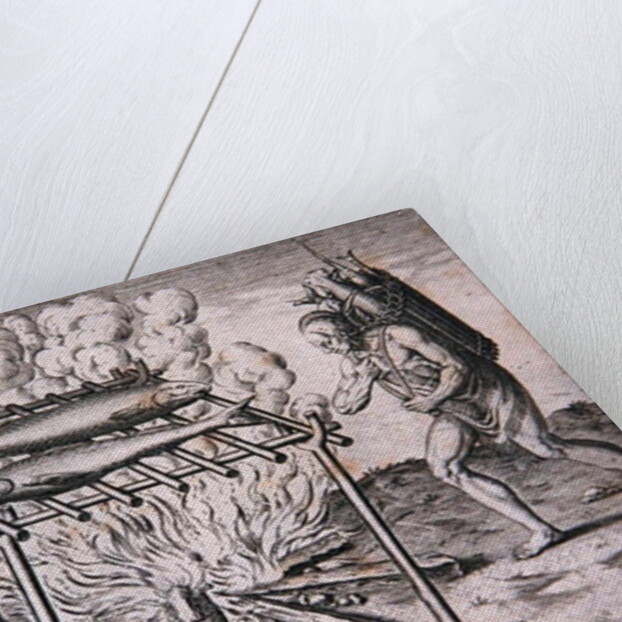 Cooking Fish, plate XIII by Theodor de Bry