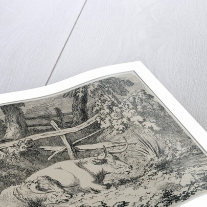 Cattle Resting, 1807 by Robert Hills