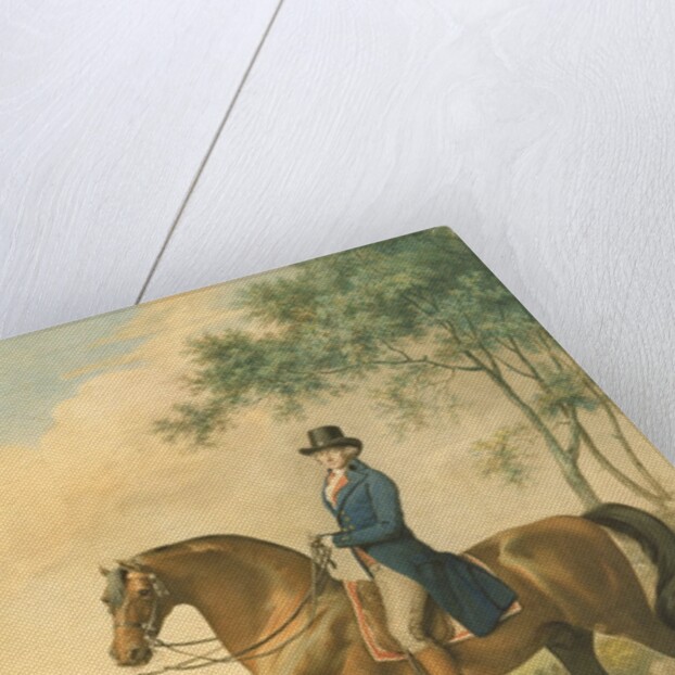 Warren Hastings on his Arabian Horse, 1796 by George Townley Stubbs
