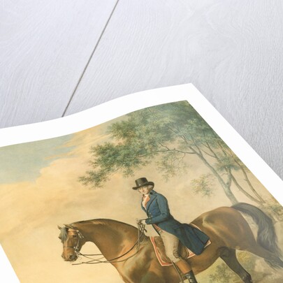 Warren Hastings on his Arabian Horse, 1796 by George Townley Stubbs