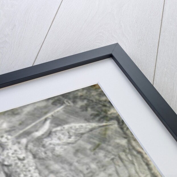 Dido and Aeneas Sheltering in a Cave by Francis Cleyn