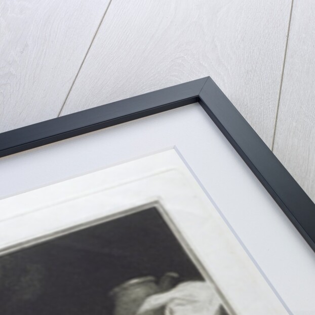 Muscipula, engraved by John Jones 1786 by Joshua (after) Reynolds