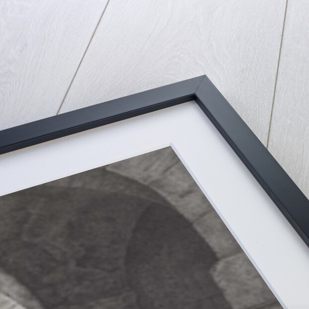 The Captive, engraved by Thomas Ryder 1786 by Joseph Wright of Derby