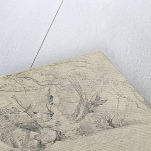 Ancient Trees, Lullingstone Park, 1828 by Samuel Palmer