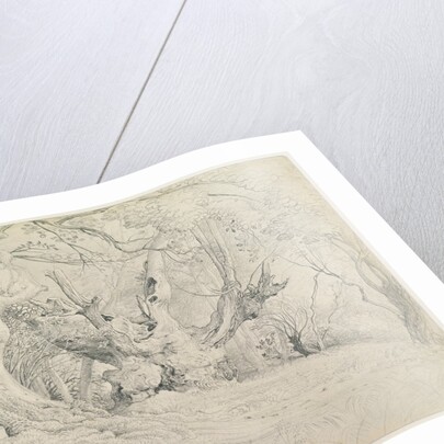 Ancient Trees, Lullingstone Park, 1828 by Samuel Palmer