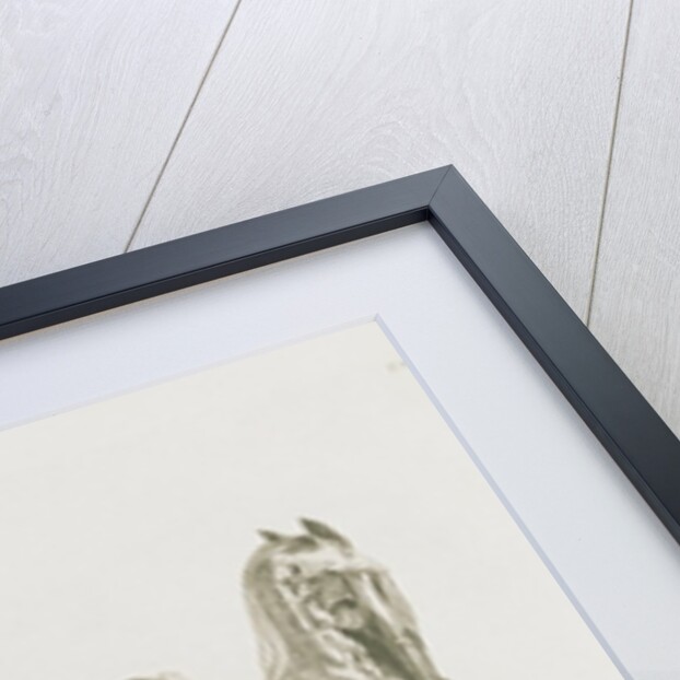 Tab. XV by George Stubbs