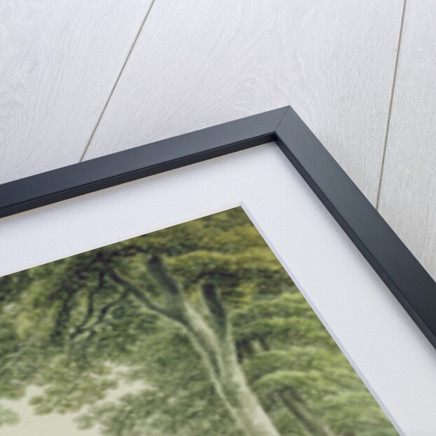 Alms Houses in St. Cuthbert's Churchyard, Wells by Michael Rooker