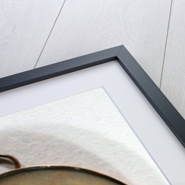 Portrait of a Gentleman by Abraham Daniel