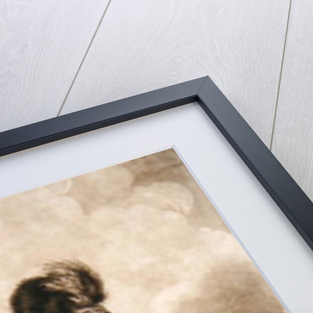 Lieutenant Colonel Banastre Tarleton by Joshua (after) Reynolds