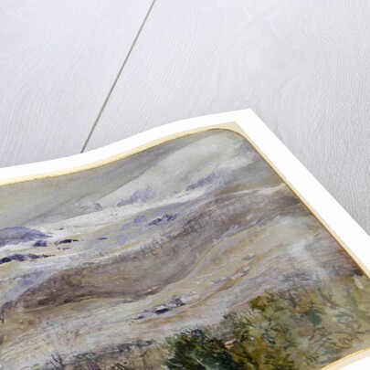 Swiss Valley Landscape, 1885 by John William Inchbold