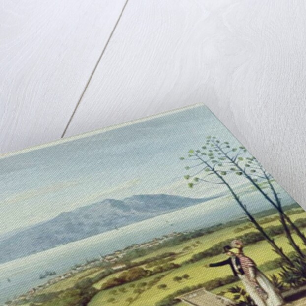 Kingston and Port Royal from Windsor Farm by James Hakewill