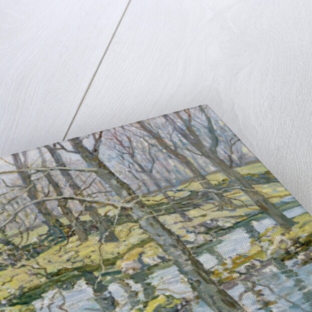 November by Walter Elmer Schofield